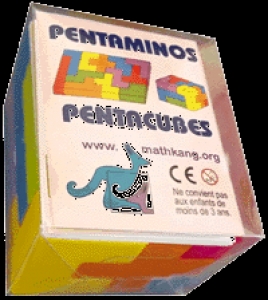 Image du produit Pav Pentaminos-Pentacubes