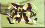 Puzzle, Quatre chevaux