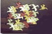 Image du produit Puzzle, Les Migrateurs